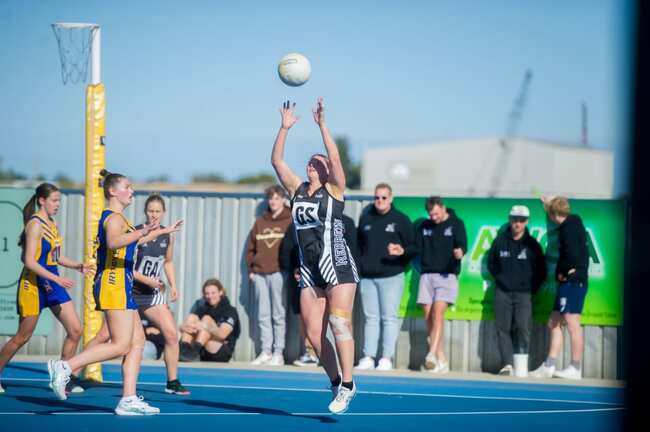 Magpies on the rise