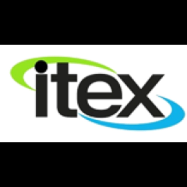 Financial Survey: Rimini Street (NASDAQ:RMNI) versus ITEX (OTCMKTS:ITEX)