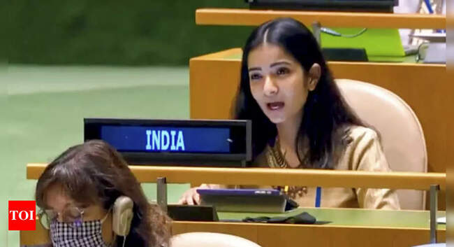 dubey: Pakistan an arsonist in guise of a fire-fighter: Indian diplomat