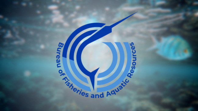 Red tide alert: Shellfish, ‘alamang' from 5 areas not safe for consumption – BFAR