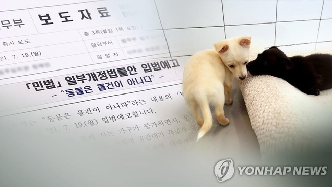 Cabinet passes revision bill to grant legal status to animals