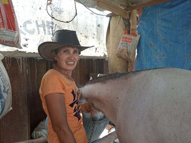 Julieta Gempisao: Cebu City's remaining female kutsero shares struggles in a man's world