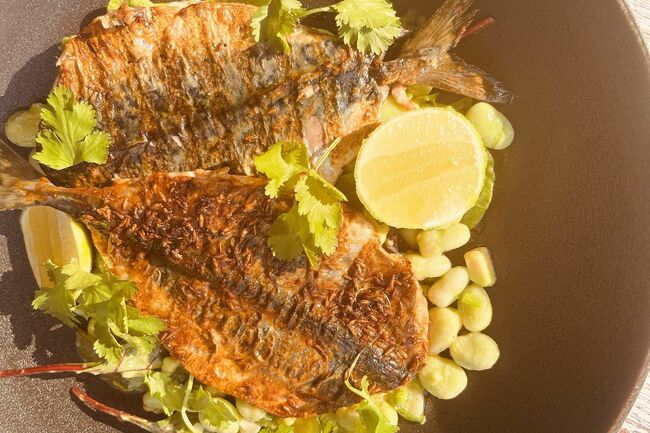 Recipes: Summer's sensations with mackerel and broad beans and rhubarb trifle
