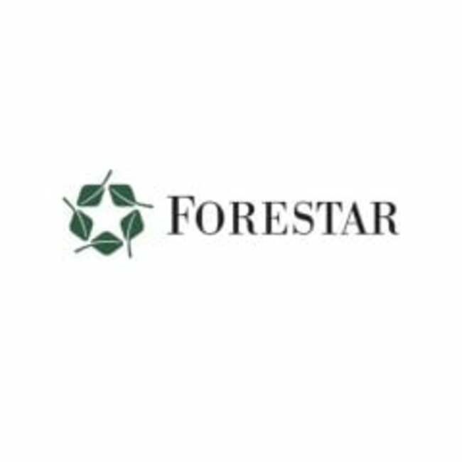 Forestar Group (NYSE:FOR) Stock Crosses Above 200 Day Moving Average of $16.60