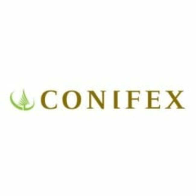 Conifex Timber (TSE:CFF) Reaches New 1-Year Low at $1.15