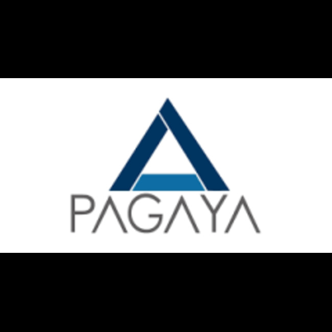 Pagaya Technologies (PGY) vs. The Competition Financial Analysis
