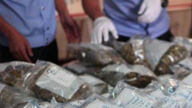 Chinese customs seize 5.3 tonnes of drugs since 2022