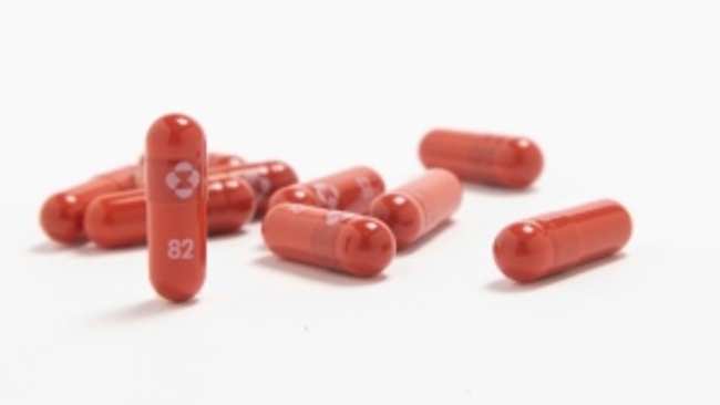 U of A research supports reports of Merck pill efficacy