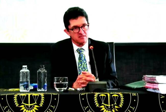 I used my white privilege to represent the disadvantaged in SA - ConCourt candidate tells JSC