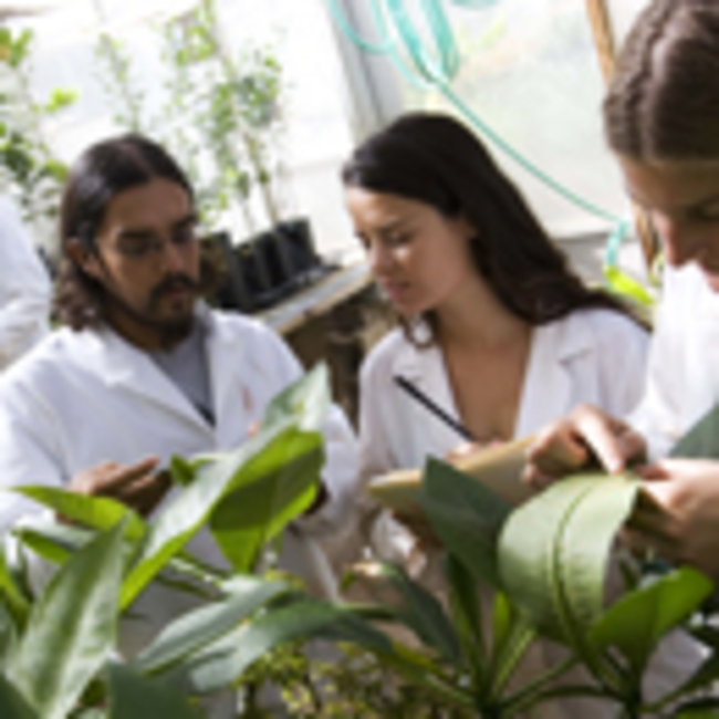 Academic, research, sustainability honors for UH Mānoa