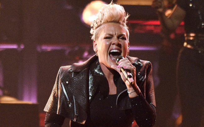 P!NK left shocked after a fan throws their late mum's ashes on stage mid-show