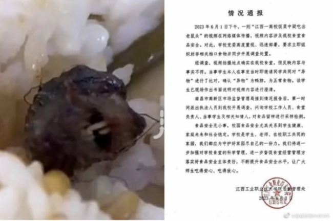 Mouse heads found in canteen lunch boxes in China highlight food safety concerns