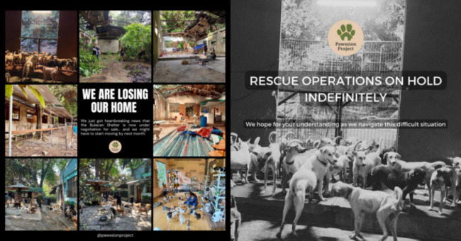 Animal shelter's future ‘uncertain' as property enters negotiations for sale