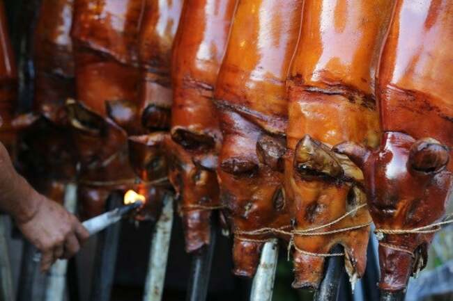 COA flags ‘lechon' orders worth P1.3 million