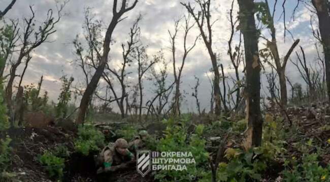 Ukrainian forces advance ‘slowly but surely' at front–official