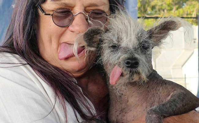 Scooter, the bald 7-year-old with backward-facing legs, crowned ‘World's Ugliest Dog'