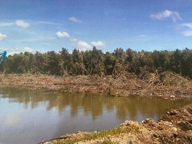 Mandaue lawyer calls case against contractor clearing mangrove area as harassment