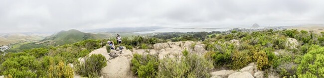 Morro Bay's Black Hill is accessible to almost anyone