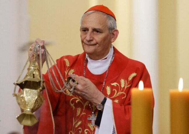 Papal envoy says Moscow visit focused on humanitarian issues, not peace plan