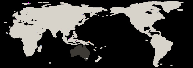 A-UKFTA Boosts Australian Onion Exports with Tariff Cuts