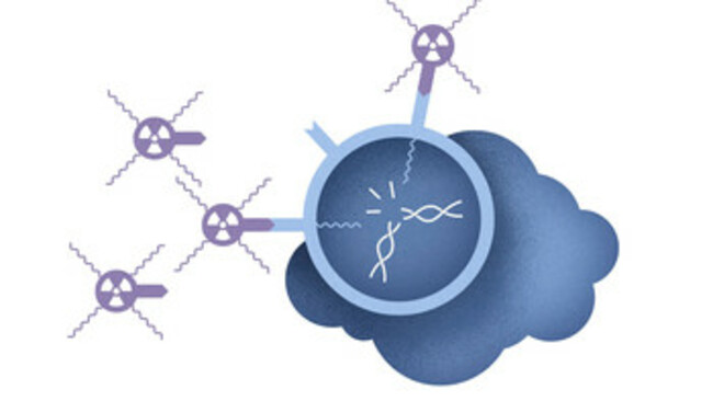 Fighting tumours down to last cancer cell