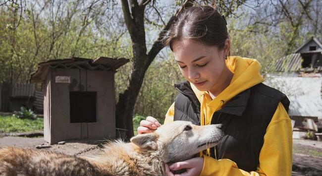 Finding Sanctuary for Animals in Ukraine