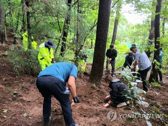 Woman admits to burying undocumented baby's body on hill in Busan
