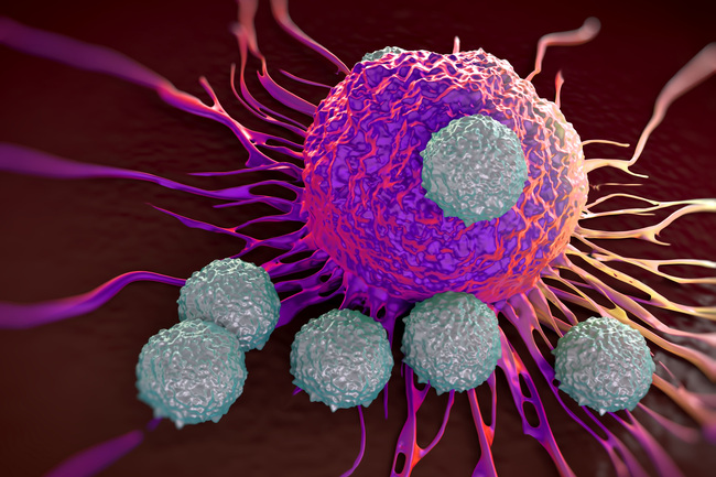Vaccine delivers boost to T cell therapy