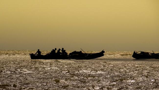 White Paper on Migration Uncertainty: Toward Foresight and Preparedness