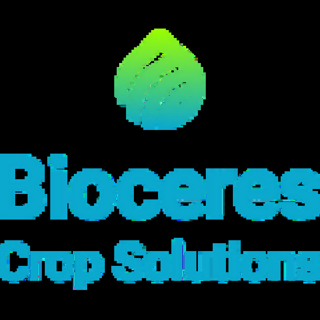 Bioceres Crop Solutions (NYSEMKT:BIOX) Stock Price Up 1.2%