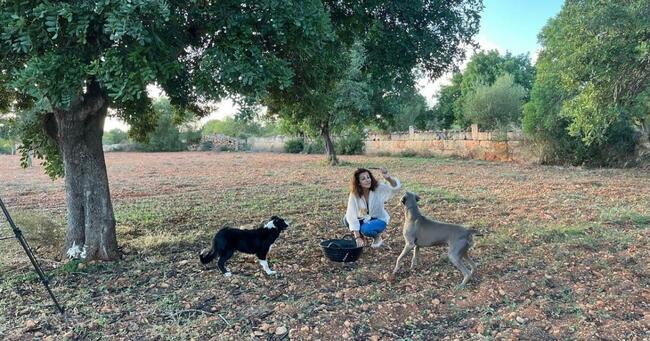 Local food: "super fruit" the carob