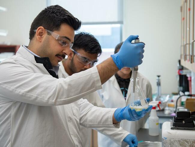 $3M Grant to Focus on Soft Tissue Restoration, Blood Vessel Formation