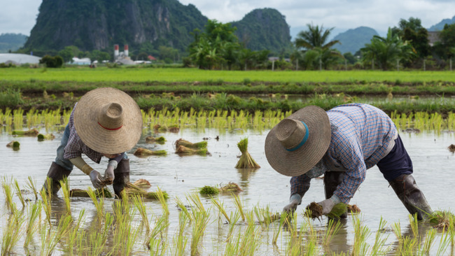 New Agrarian Emancipation Act signed; P57.5-B debt of 610,000 farmers condoned