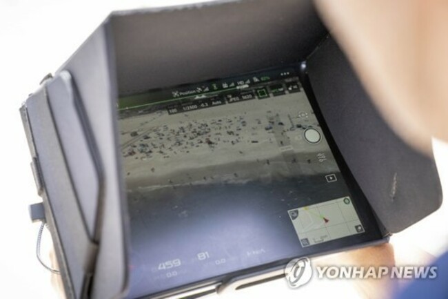 Shark Patrols New York