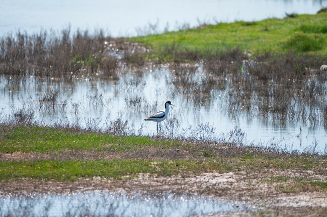 Six questions about nature in Netherlands