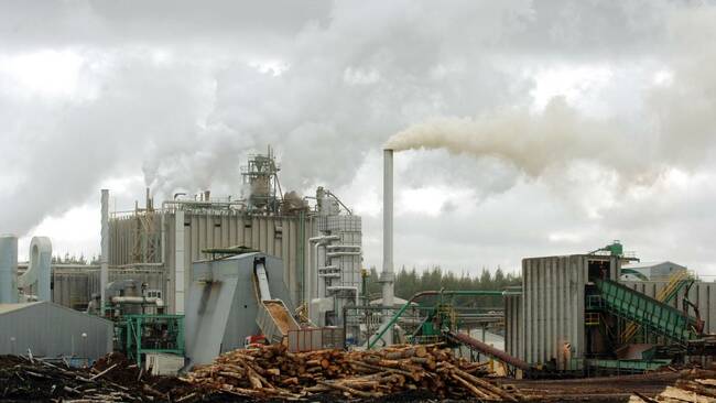 Fire crews called to Ruapehu district pulp mill twice in a week