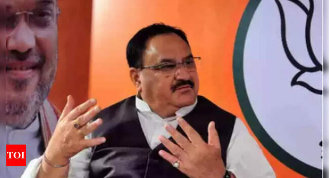Opposition putting hurdles in development agenda: JP Nadda
