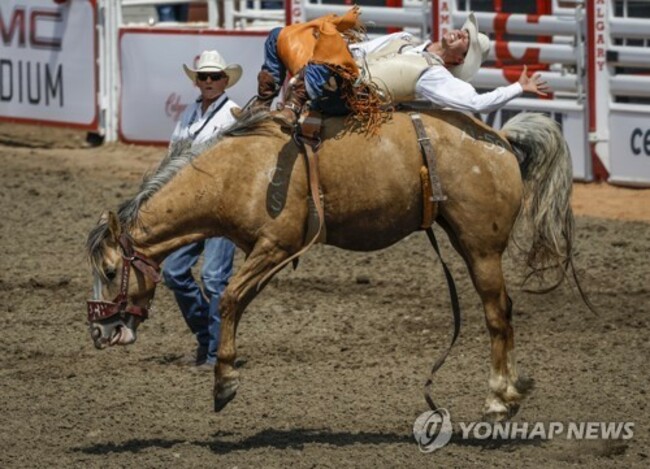 Stampede Rodeo