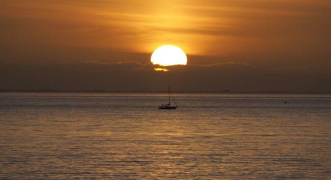 WMO: Extreme Temperatures, Imminent Record-Breaking