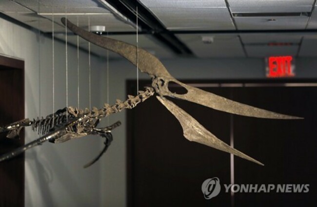 USA SOTHEBYS AUCTION PREHISTORIC PREDATORS