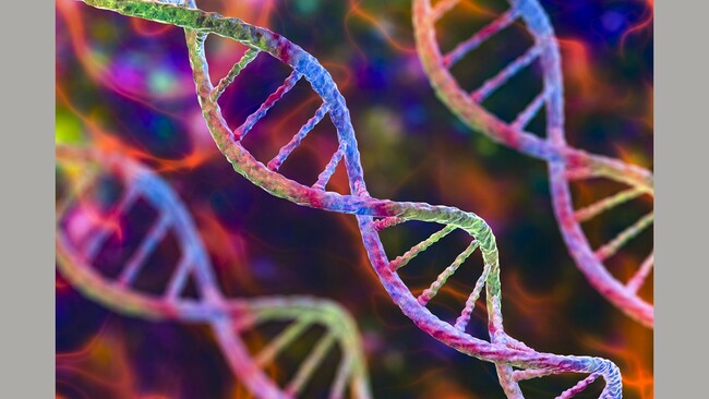 Inflammatory Biomarker Tied to Mitochondrial Decline, Frailty