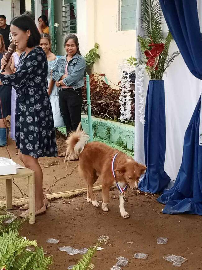 Dog from Negros Occidental receives award