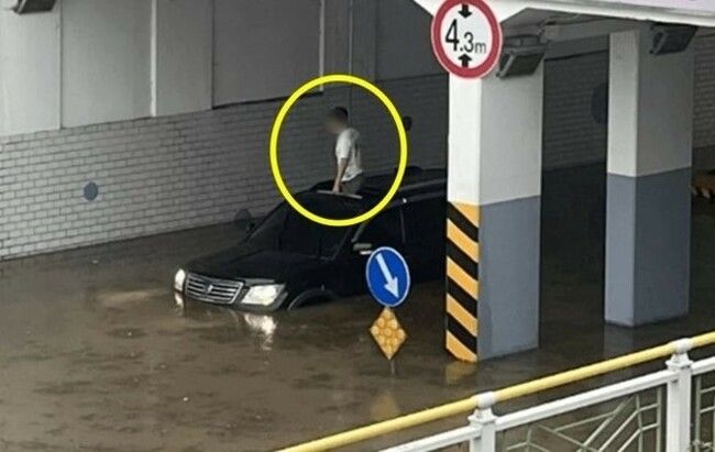 Man standing out of submerged car sunroof dubbed 'Sunroof Jwa'