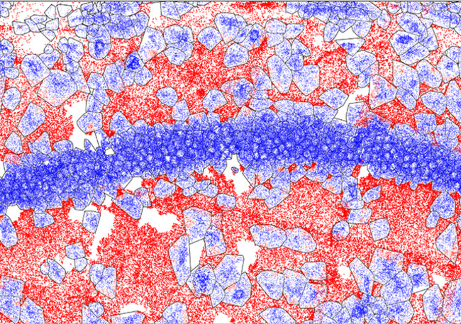 Scientists Discover Location of Protein Production in Tissue and Cells