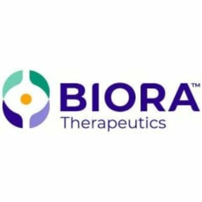 Biora Therapeutics (NASDAQ:BIOR) Shares Up 4%