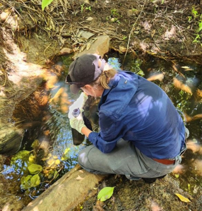 Observing invisible using environmental DNA