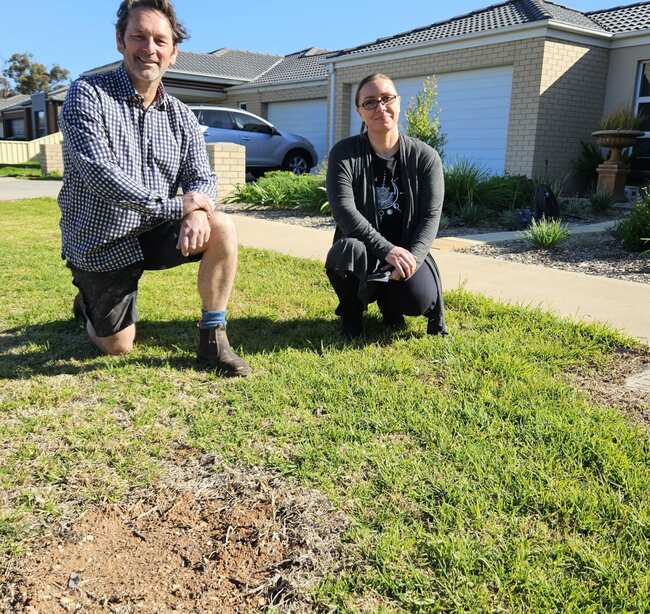 More shade for Mildura streets