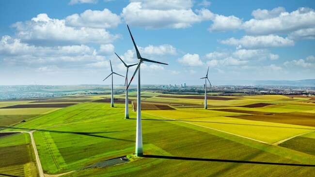 The clean energy ‘scam' is unravelling ‘very quickly': Cory Bernardi