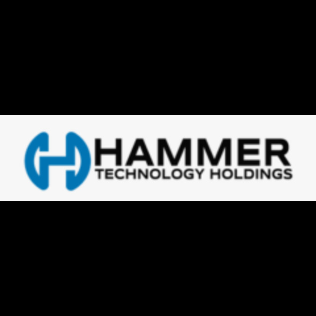 Tiger Brands Limited (OTCMKTS:TBLMY) Short Interest Up 100.0% in June