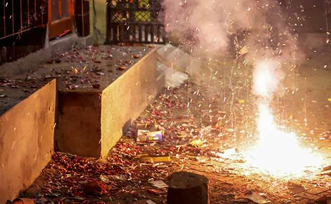 Haryana Bans Crackers In 14 Districts Near Delhi Days Before Diwali